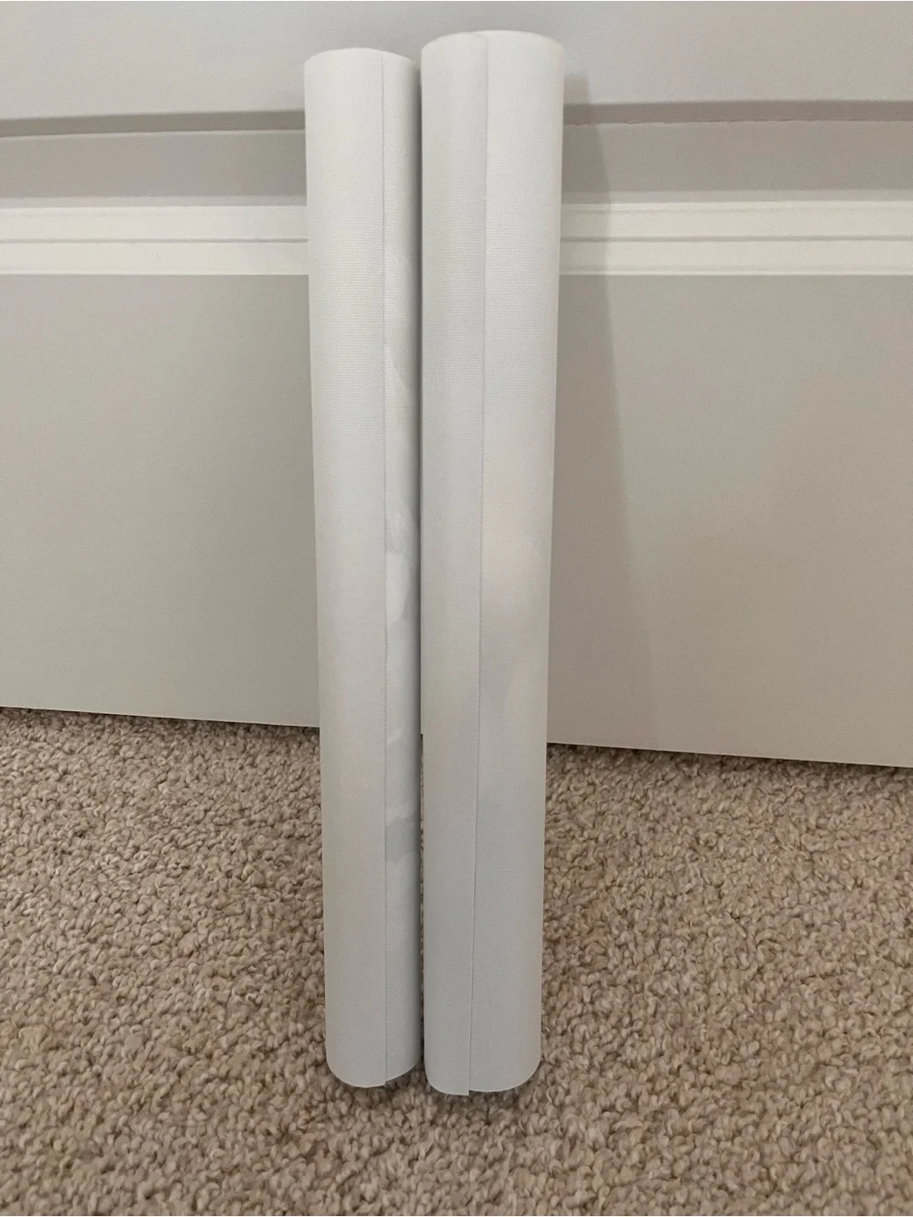 2 Canvas Artist Face Pics - Not Framed